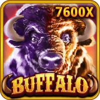 Wild Water Buffalo