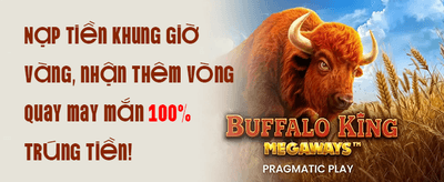 VIP Deposit Promotion
